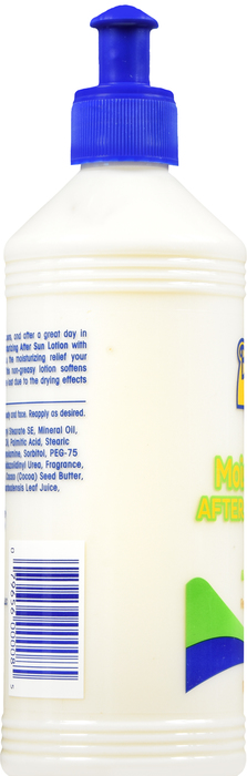 Banana Boat Moisturizing Aloe After Sun Pump Lotion 16oz