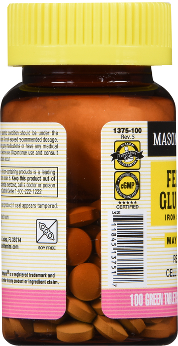 FERROUS GLUC 240MG TABLET 100CT MASON