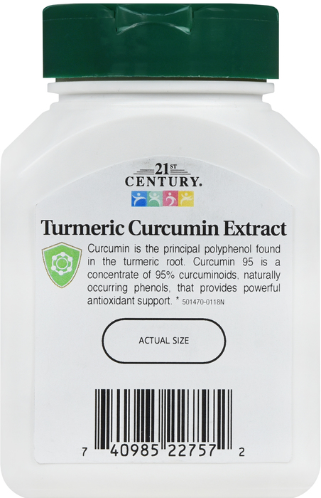 21st Century Curcumin 95 500mg Capsules 45ct