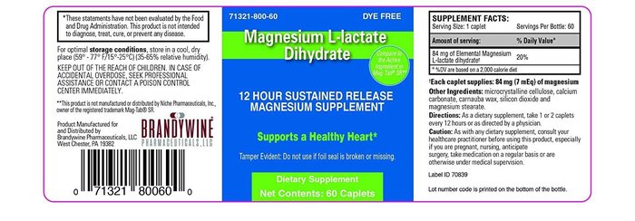 MAGNESIUM L-LACTATE DIH 84 MG SR CPL 60