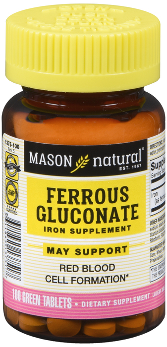 FERROUS GLUC 240MG TABLET 100CT MASON