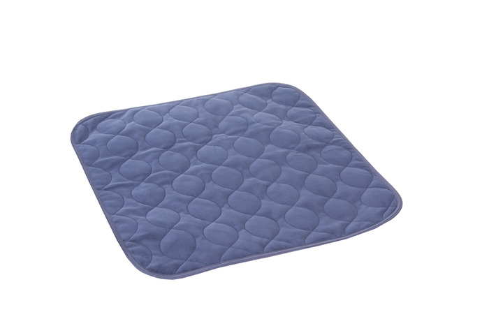 QUIK SORB FURNITR 20X20 BLUE PROT PAD