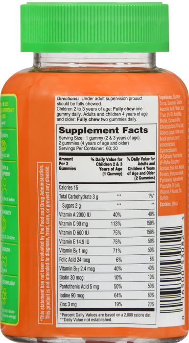 Flintstones Kids Multivitamin Plus Immunity Gummies 60ct