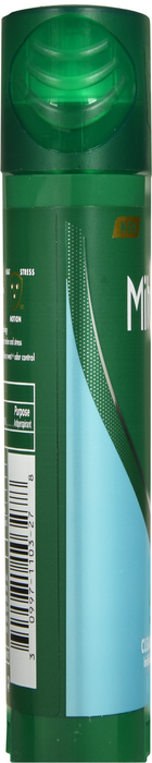 Mitchum Triple Odor Defense Clean Control Deodorant 2.7oz